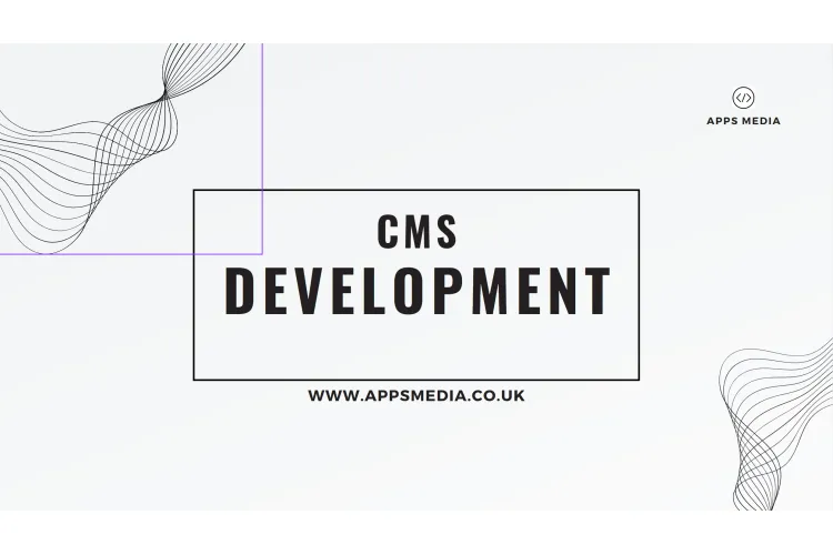 CMS Development Services in London